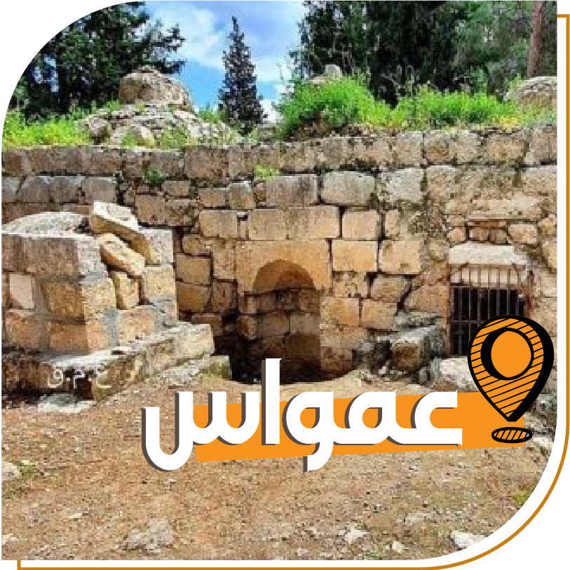 Outdoor Albahaa activities