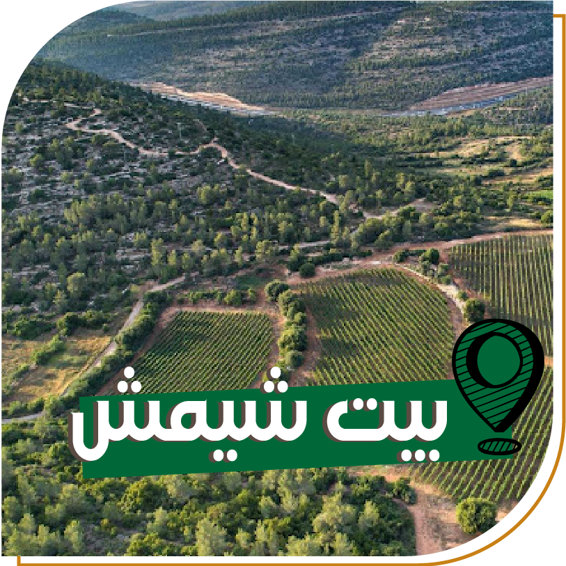 Outdoor Albahaa activities